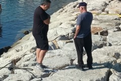 20261012-Foto11