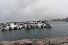 IMG-20250806-WA0008