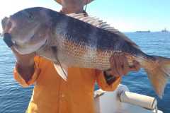 foto17_mar_de_levante